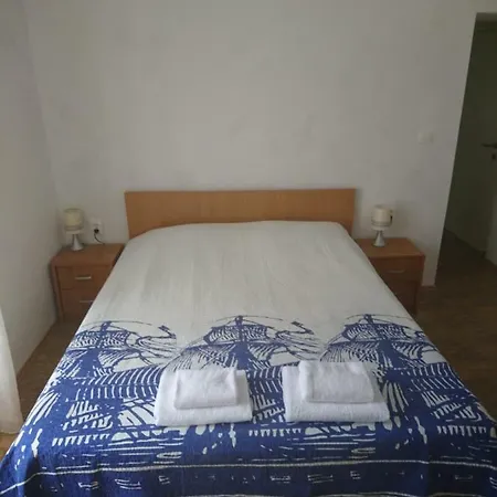 Dalmatinac Ivo