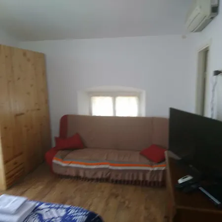 Dalmatinac Ivo * Polače