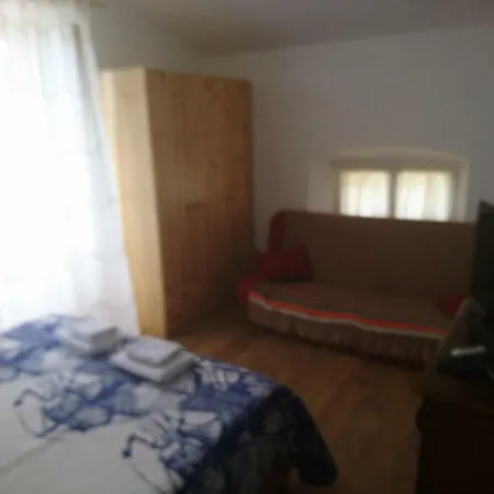 Dalmatinac Ivo